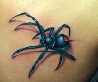 蜘蛛纹身图片：另类经典背部彩色蜘蛛纹身图案