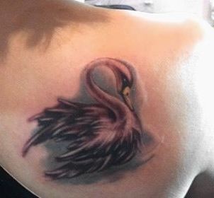 天鹅纹身图片：肩部彩色小天鹅纹身图案
