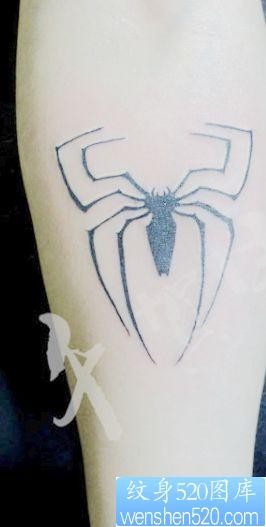 蜘蛛纹身图片：手臂图腾蜘蛛纹身图案