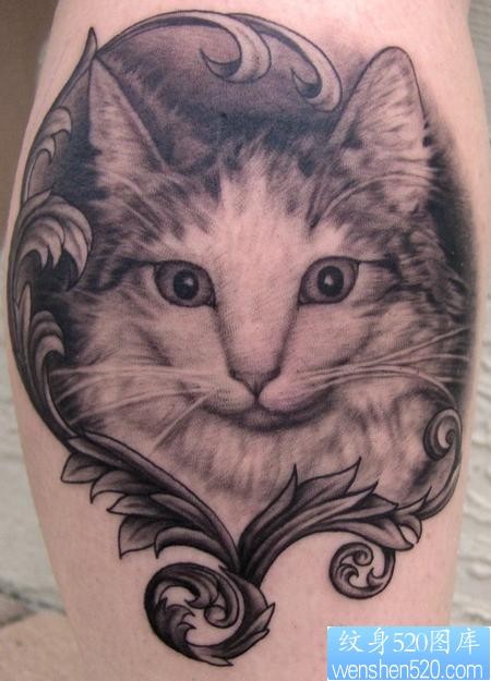 可爱的素描猫咪纹身图片图案