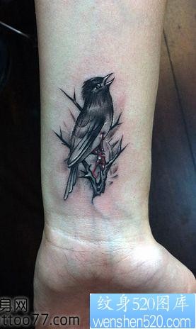 手臂流行可爱的小鸟纹身图片