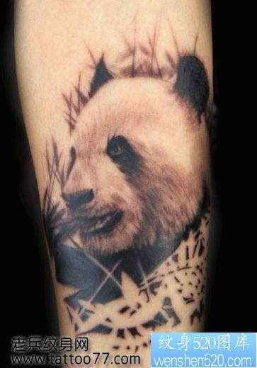 手臂可爱经典的熊猫纹身图片
