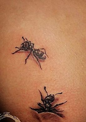 动物纹身图片：撕皮小蚂蚁纹身图案