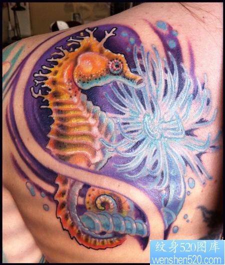 背部纹身图片：背部可爱海马纹身图片图案