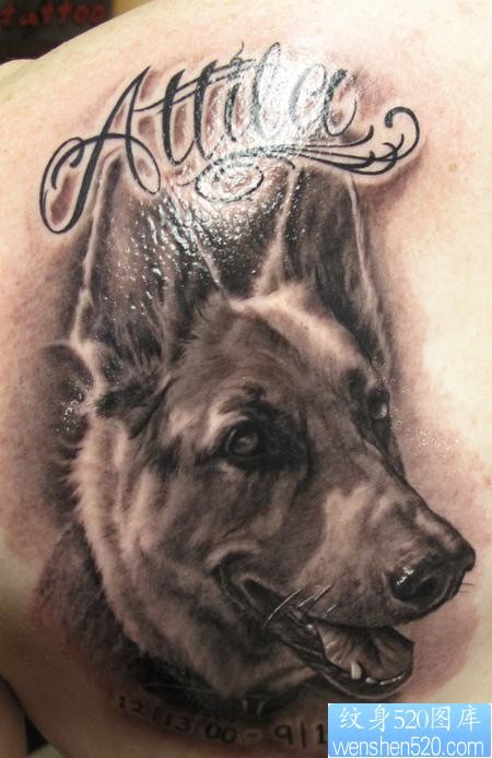 后背纹身图片：后背可爱的黑灰狗狗纹身图片图案