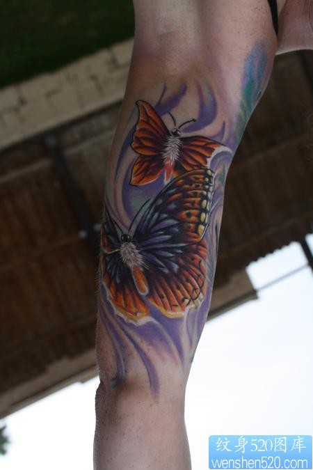 动物纹身图片:手臂内侧蝴蝶纹身图片图案