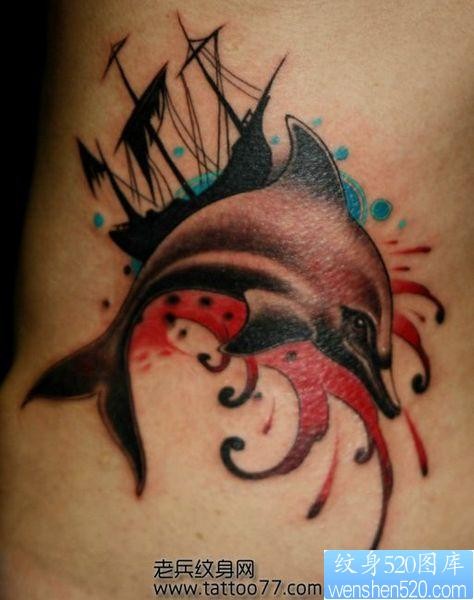 一张腰部海豚纹身图片