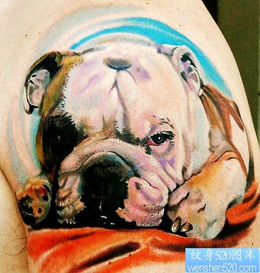 动物纹身图片：手臂3D彩色哈巴狗纹身图案