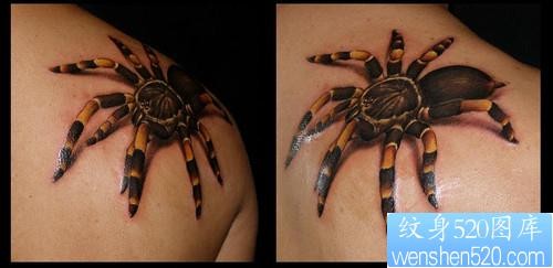 肩部彩色蜘蛛纹身图片