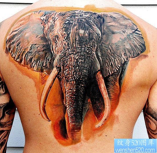 动物纹身图片：背部3D彩色大象纹身图案
