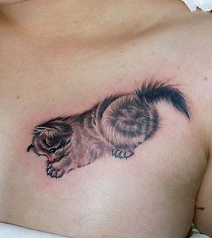 美女胸部可爱的小猫咪纹身图片