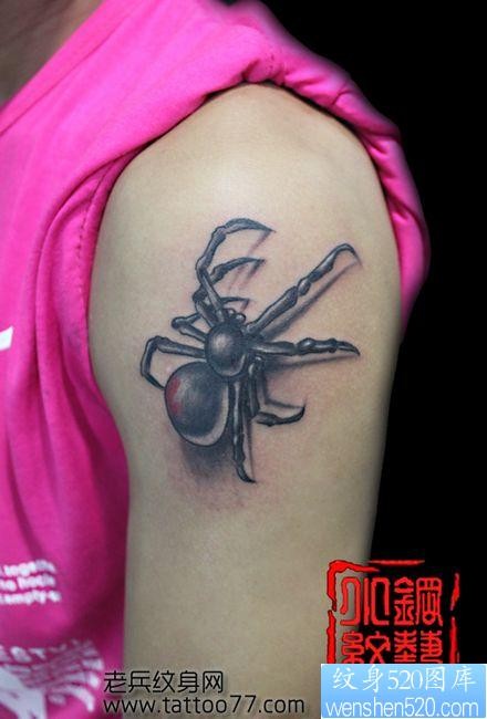 一张女孩子手臂蜘蛛纹身图片
