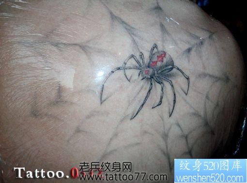 超酷的肩部蜘蛛蜘蛛网纹身图片