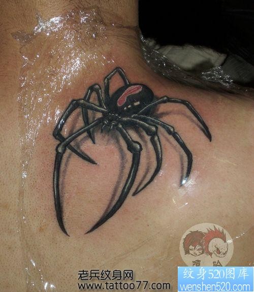 流行另类的背部蜘蛛纹身图片