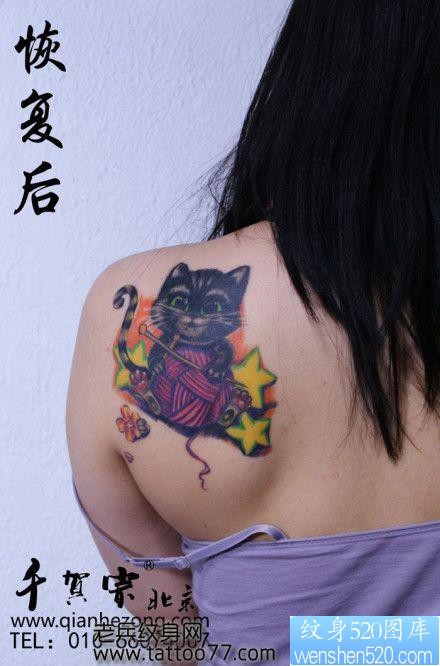 美女肩部可爱精美的猫咪纹身图片