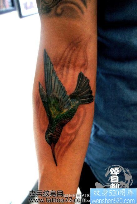 一张手臂蜂鸟纹身图片