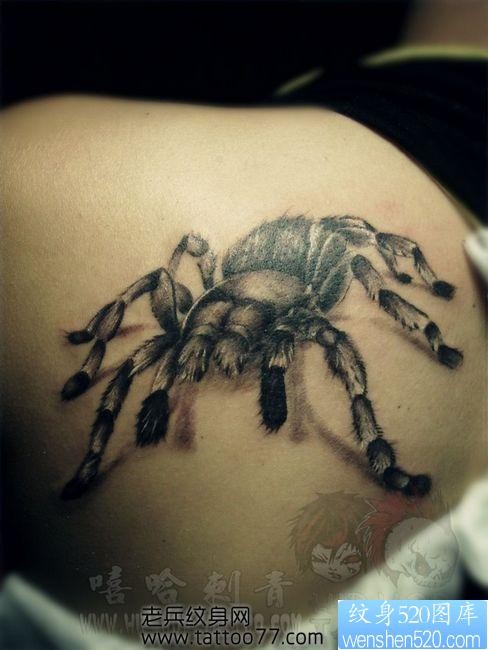 肩部流行帅气的蜘蛛纹身图片