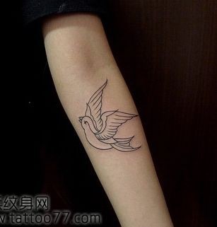 手臂精美流行的燕子纹身图片