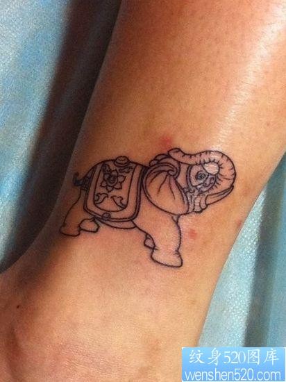 腿部女人喜欢的大象纹身图片