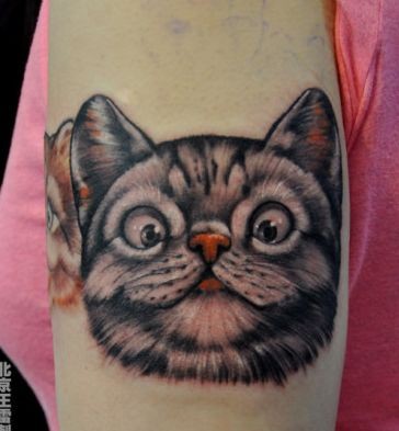 女孩子手臂可爱猫咪纹身图片