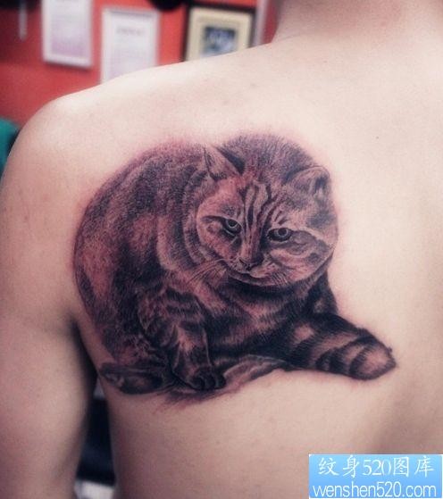 背部好看可爱的猫咪纹身图片