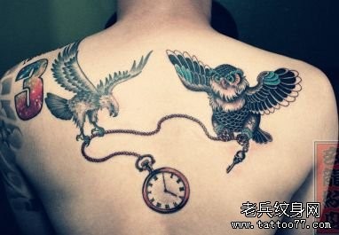 背部帅气的老鹰与猫头鹰纹身图片