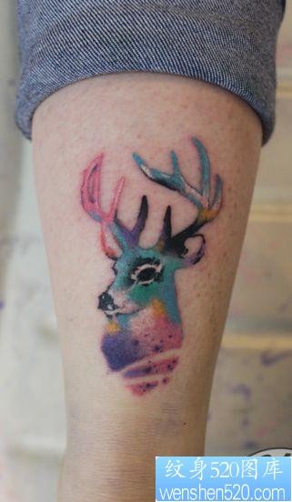 一张腿部彩色小鹿纹身图片