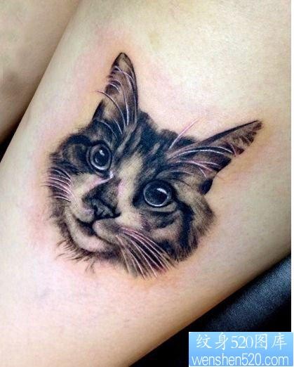 美女腿部猫咪头像纹身图片