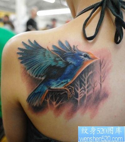女孩子肩背彩色小鸟纹身图片