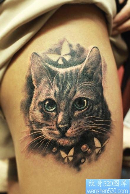 女人腿部一张黑灰猫咪纹身图片