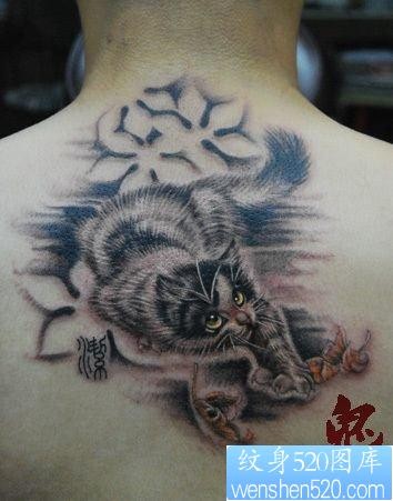 男孩子背部可爱的猫咪纹身图片