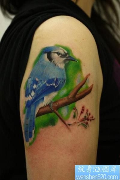 女孩子手臂一张彩色小鸟纹身图片