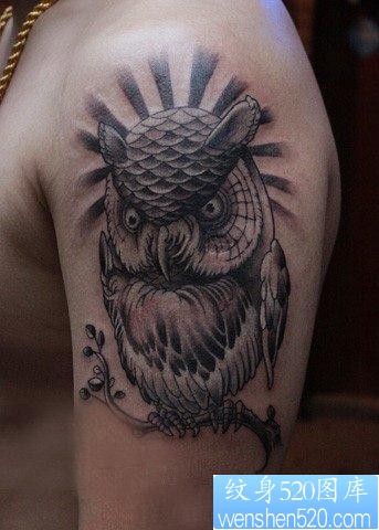 手臂一张呆呆的猫头鹰纹身图片