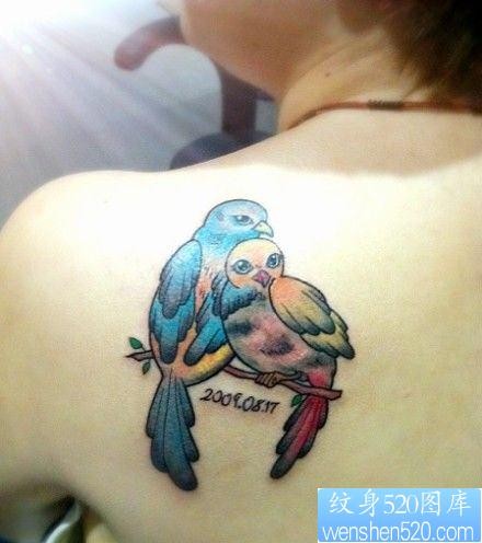 女人肩背彩色小鸟纹身图片