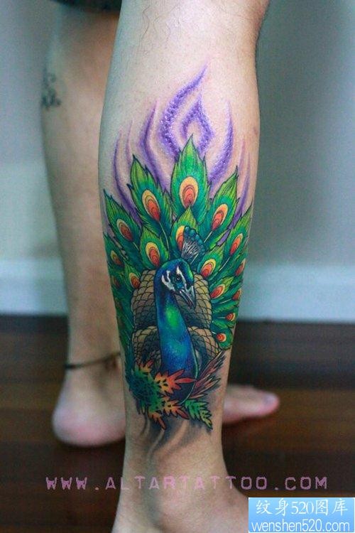 腿部漂亮的彩色孔雀纹身图片