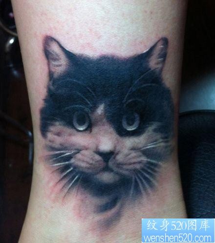 女人腿部写实猫咪纹身图片