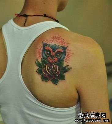 男性肩背一张猫头鹰纹身图片