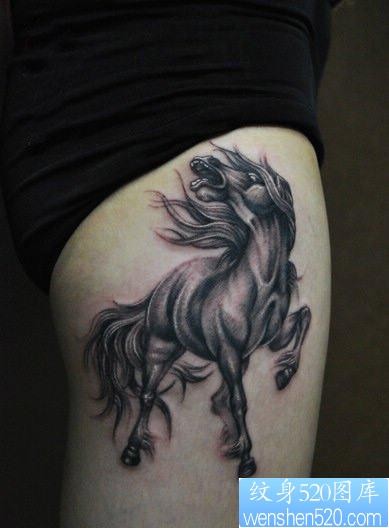 美女腿部帅气的马纹身图片