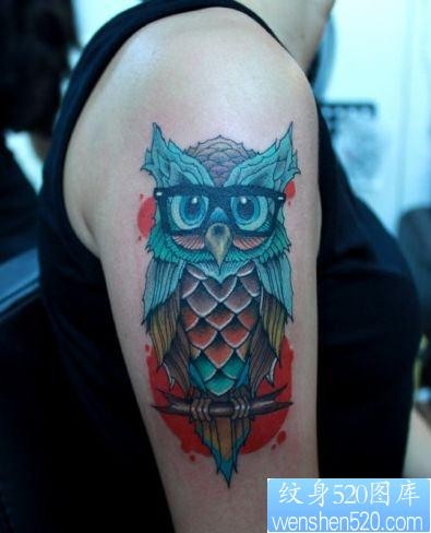 女孩子手臂欧美风格的猫头鹰纹身图片