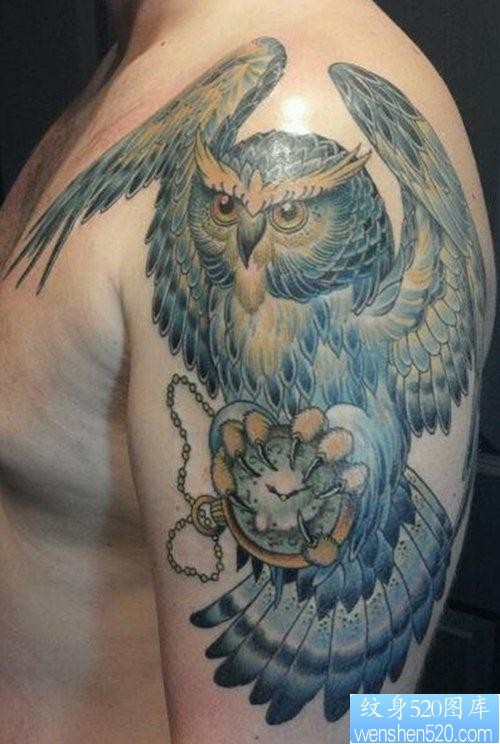男性手臂一张经典的猫头鹰纹身图片
