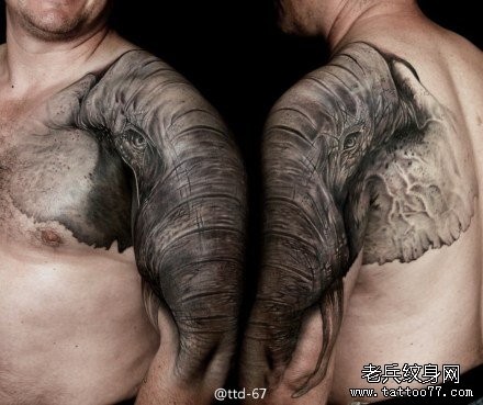 男生手臂与肩膀处超酷大象纹身图片