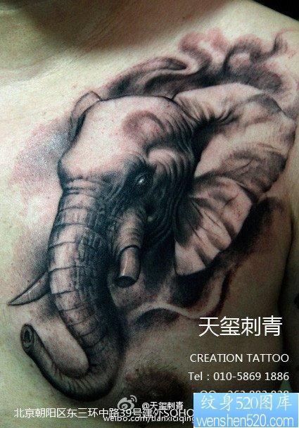 男生前胸凶悍的大象纹身图片