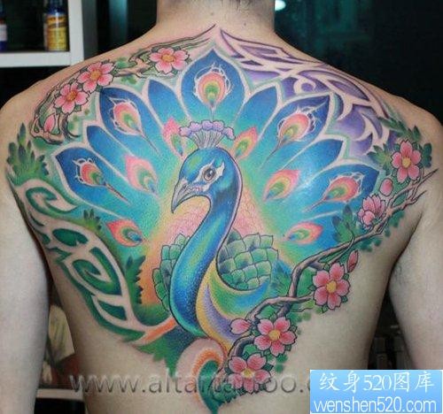 男性背部漂亮的彩色孔雀纹身图片