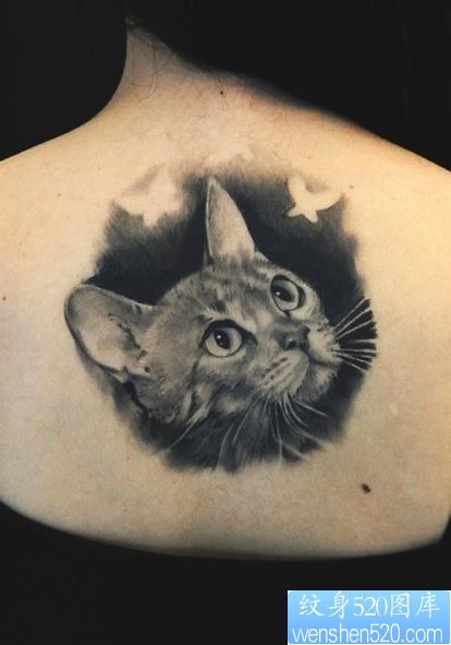 女人背部黑灰素描猫咪纹身图片