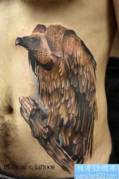 男生腹部一张经典的秃鹫纹身图片