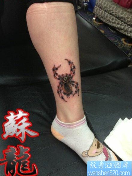 腿部精美流行的一张彩色蜘蛛纹身图片