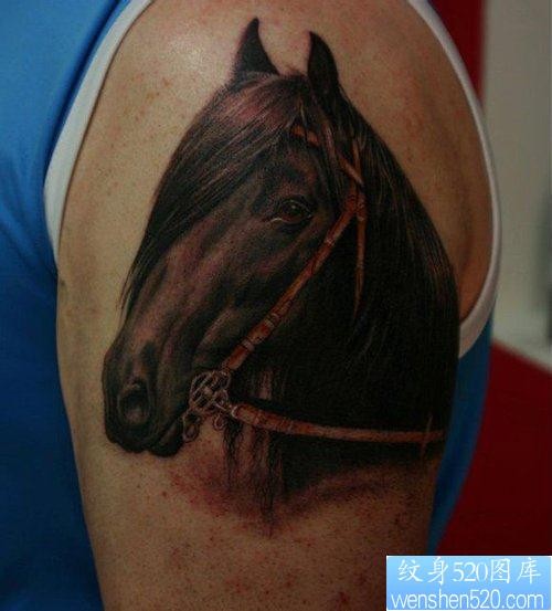 男生手臂帅气流行的马纹身图片