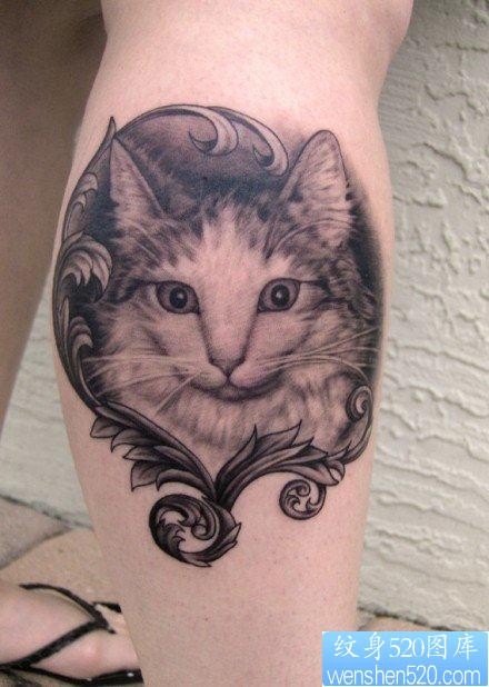 一张腿部呆呆的猫咪纹身图片
