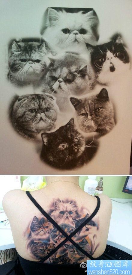 女人背部可爱流行的猫咪纹身图片