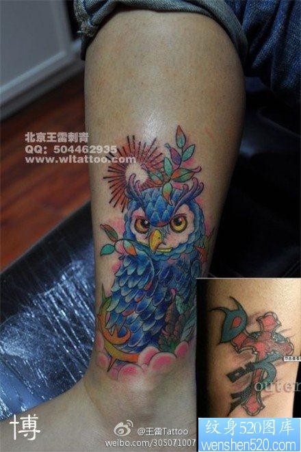 女人腿部流行漂亮的彩色猫头鹰纹身图片
